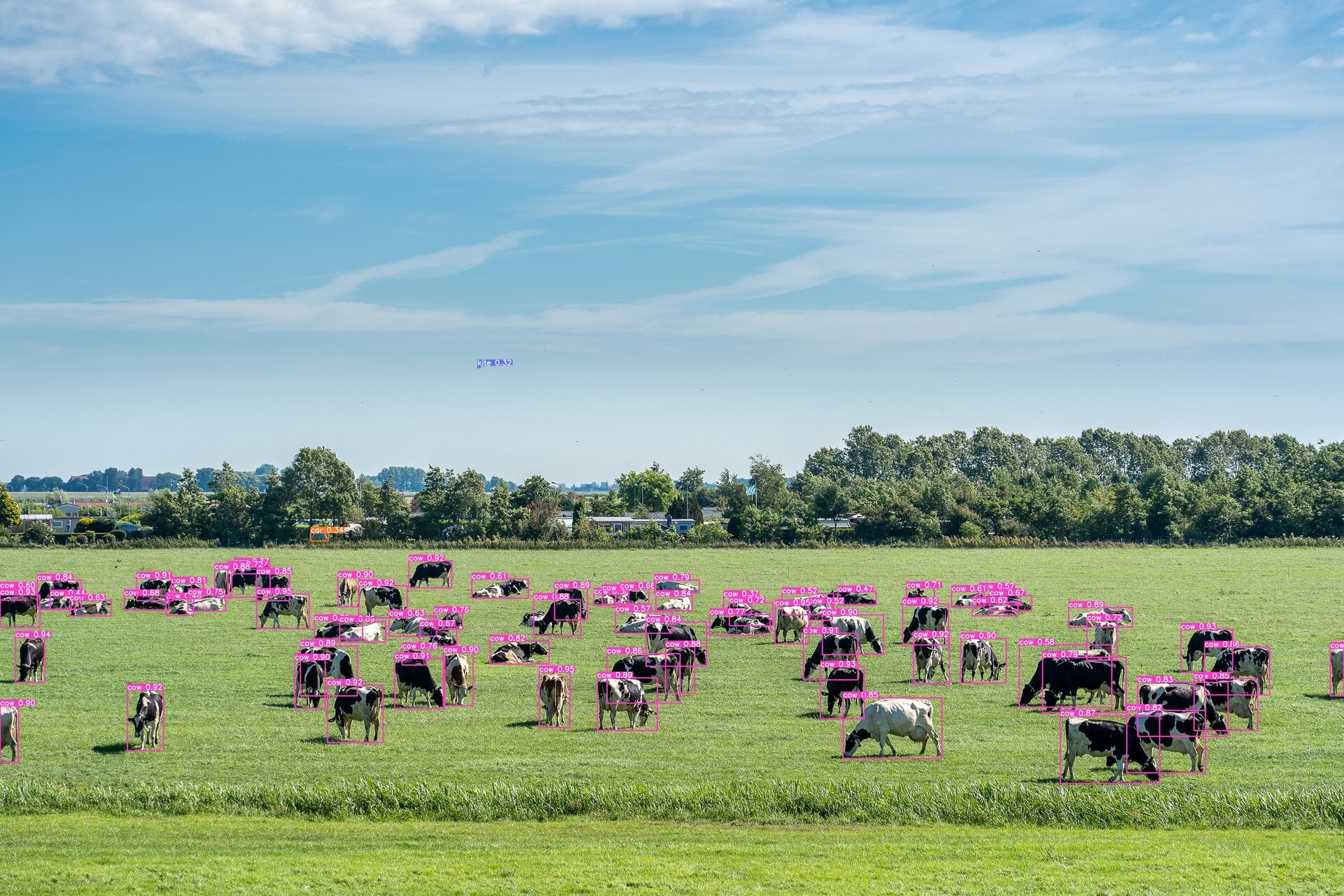 How to Use AI to Count Cows in a Field